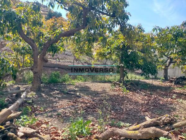 Terreno en calle Pizarras