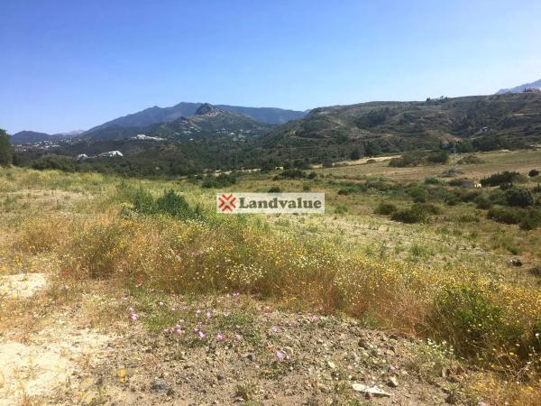 Terreno en camino del Reloj s/n