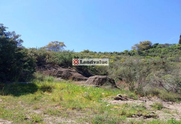 Terreno en camino del Reloj s/n