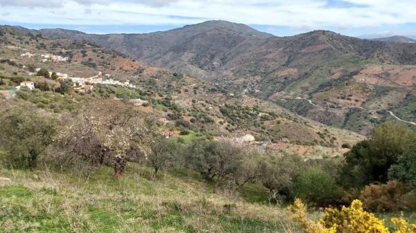 Terreno en Barrio Olías