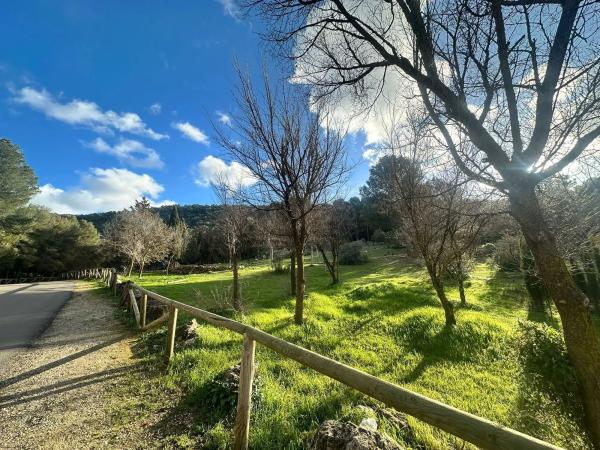 Terreno en calle Justicia