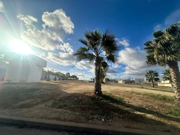 Terreno en calle Justicia