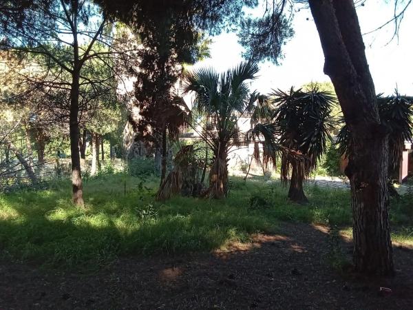 Terreno en Urbanización Hacienda las Chapas