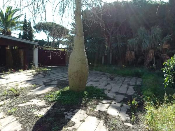 Terreno en Urbanización Hacienda las Chapas
