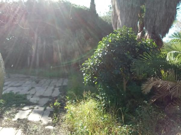 Terreno en Urbanización Hacienda las Chapas