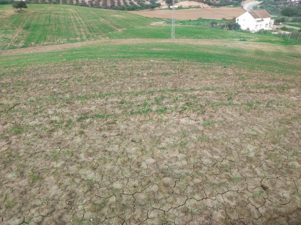 Terreno en Paraje Ballesteros s/n