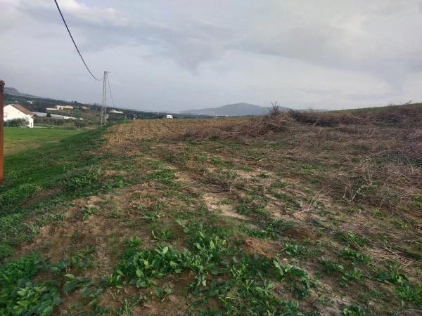 Terreno en Paraje Ballesteros s/n