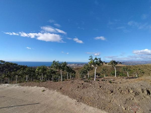 Terreno en cuesta de las Viñas