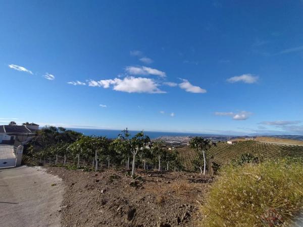 Terreno en cuesta de las Viñas