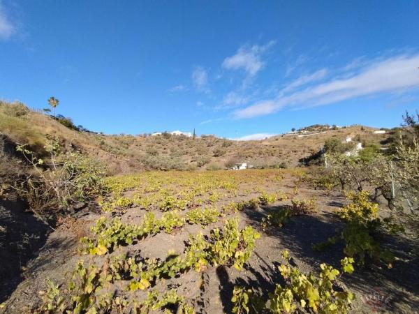 Terreno en cuesta de las Viñas