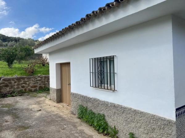 Terreno en diseminado, 137