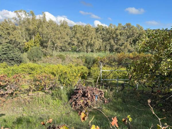 Terreno en diseminado, 137