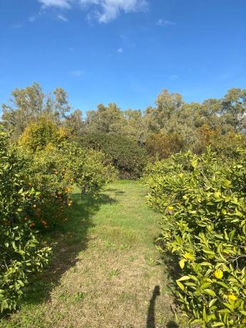 Terreno en diseminado, 137