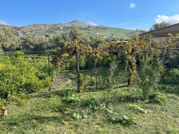 Terreno en diseminado, 137