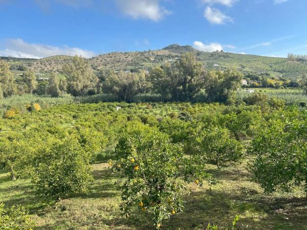 Terreno en diseminado, 137