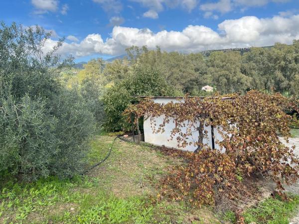 Terreno en diseminado, 137