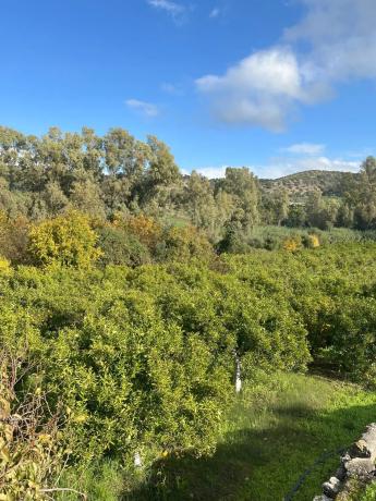 Terreno en diseminado, 137