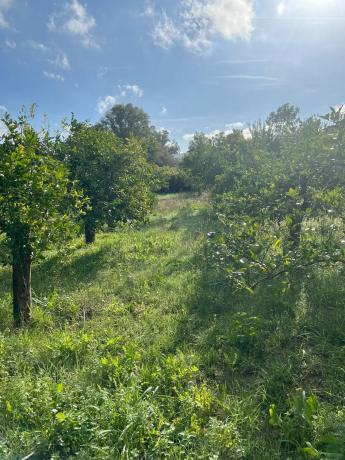 Terreno en diseminado, 137