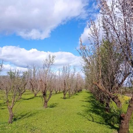 Terreno en Partida Aulagar, 2