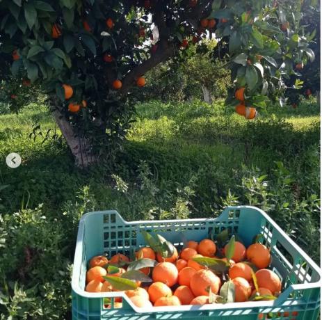Terreno en Partida Aulagar, 2