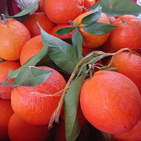 Terreno en Partida Aulagar, 2