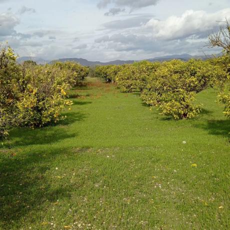 Terreno en Partida Aulagar, 2
