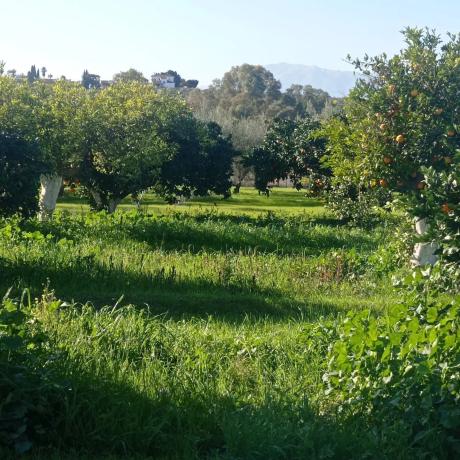 Terreno en Partida Aulagar, 2