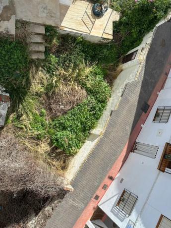 Terreno en calle Olivo s/n