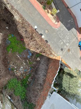 Terreno en calle Olivo s/n