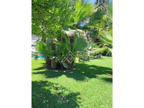 Terreno en calle Doctor García Verdugo, 23