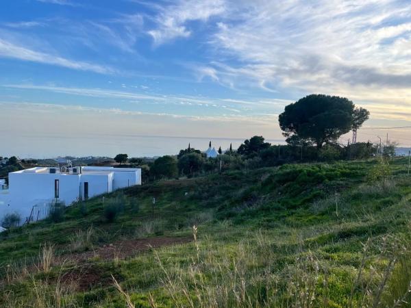 Terreno en calle Araucaria