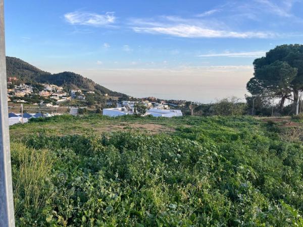 Terreno en calle Araucaria