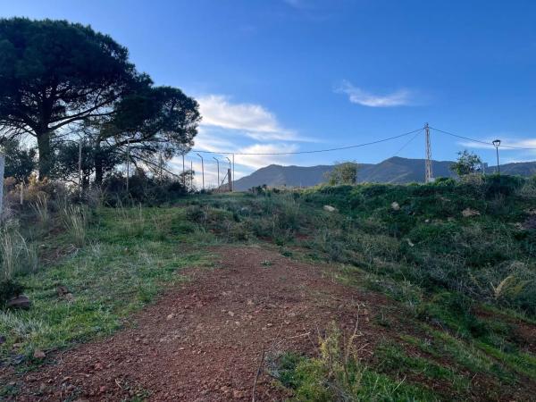 Terreno en calle Araucaria