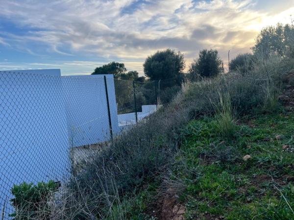 Terreno en calle Araucaria