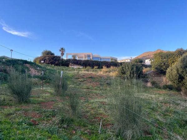 Terreno en calle Araucaria