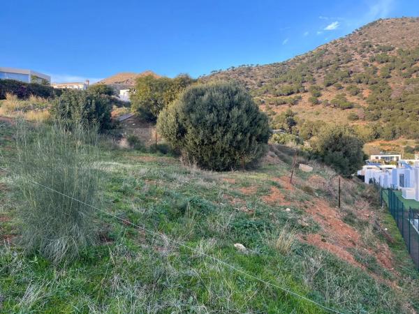 Terreno en calle Araucaria