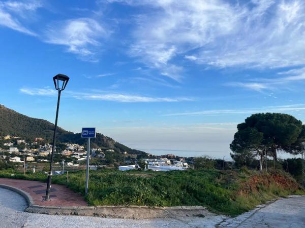 Terreno en calle Araucaria