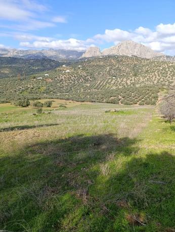Terreno en El Campillo, 1