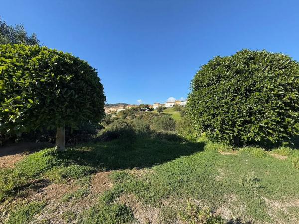 Terreno en avenida de la Resina, 5 -3
