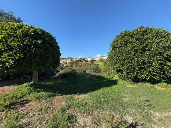 Terreno en avenida de la Resina, 5 -3