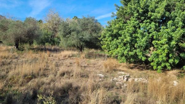 Terreno en calle Tunez, 41