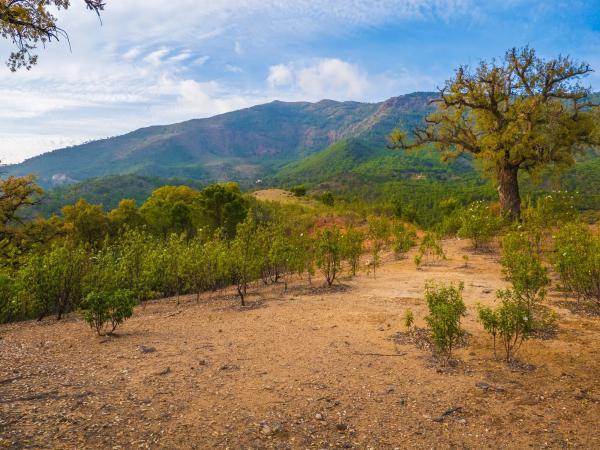 Terreno en La Zagaleta