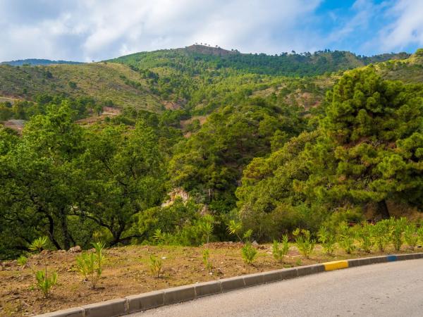 Terreno en La Zagaleta