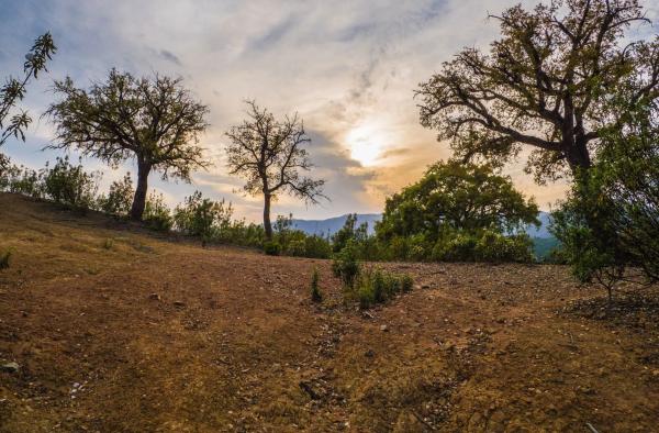 Terreno en La Zagaleta