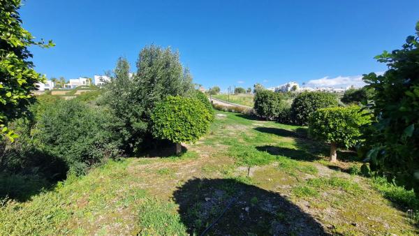 Terreno en avenida de la Resina