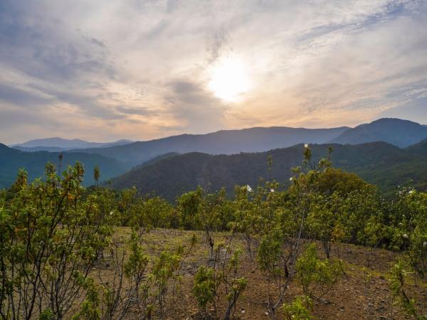 Terreno en La Zagaleta