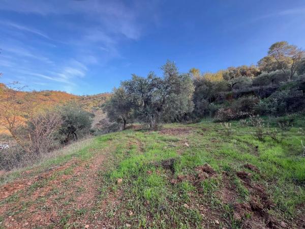 Terreno en Diseminado Diseminados