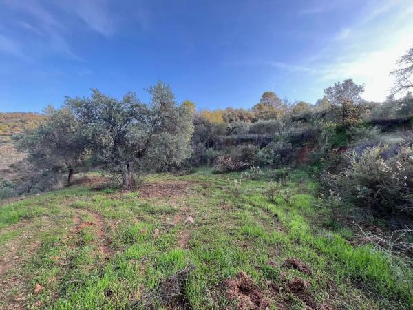 Terreno en Diseminado Diseminados