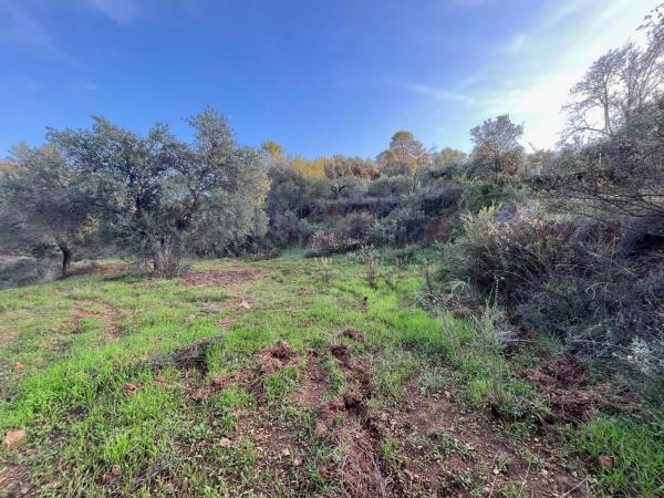 Terreno en Diseminado Diseminados