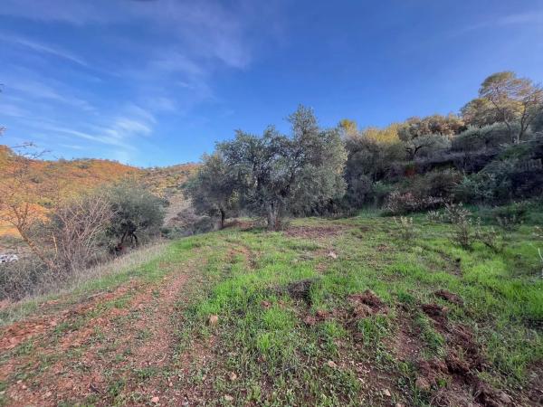 Terreno en Diseminado Diseminados